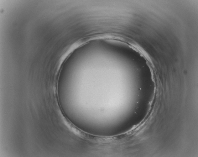 X0000066080813200603311933