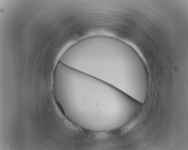 X0000066080815200603311933