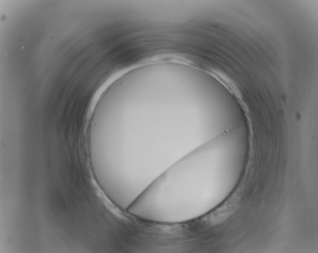 X0000066080816200603311933