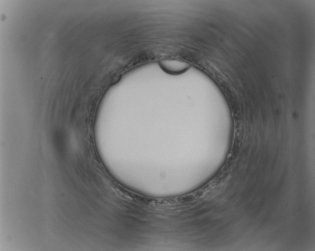 X0000066080817200603311933