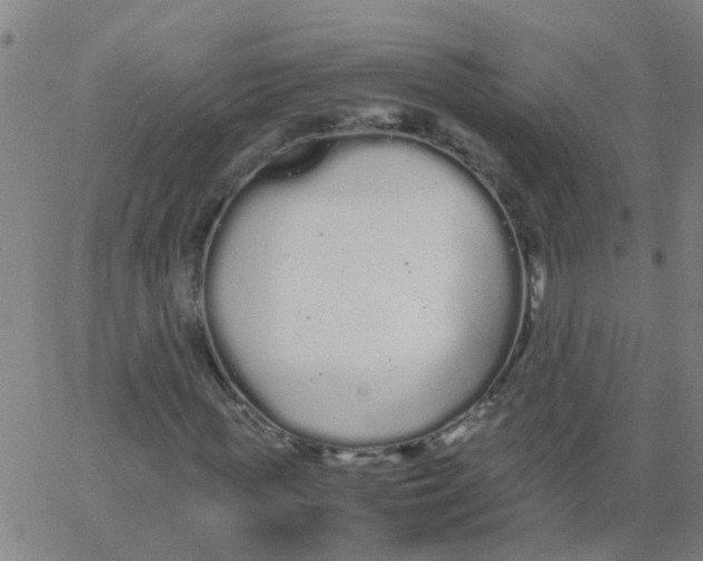 X0000066080819200603311933