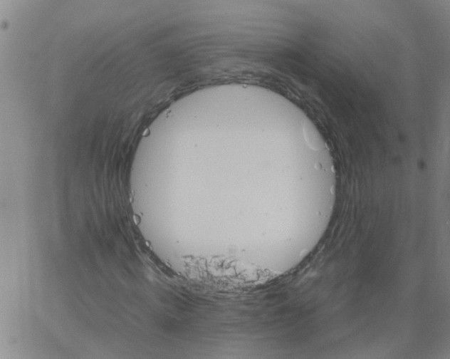 X0000066080820200603311933