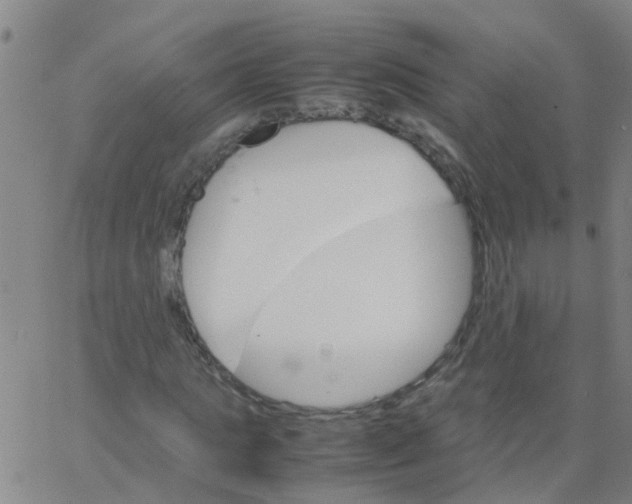 X0000066080821200603311933