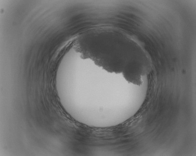 X0000066080823200603311933