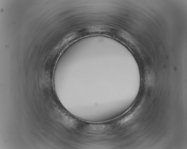 X0000066080825200603311933