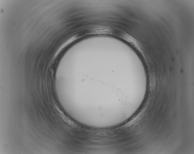 X0000066080827200603311933