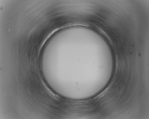 X0000066080828200603311933