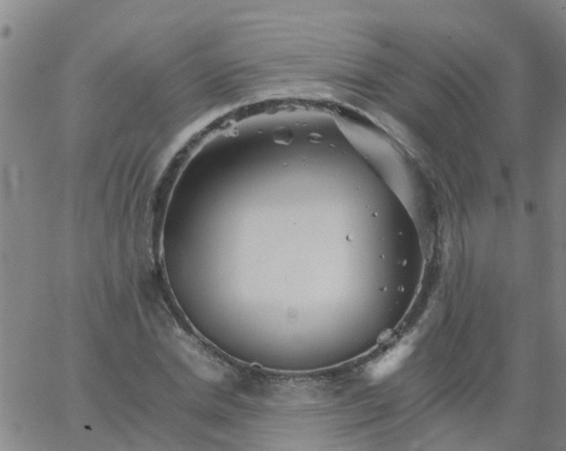 X0000066080830200603311933