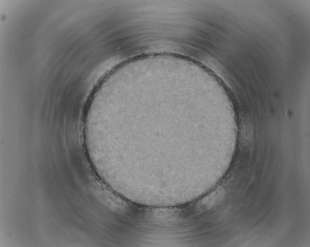 X0000066080832200603311933