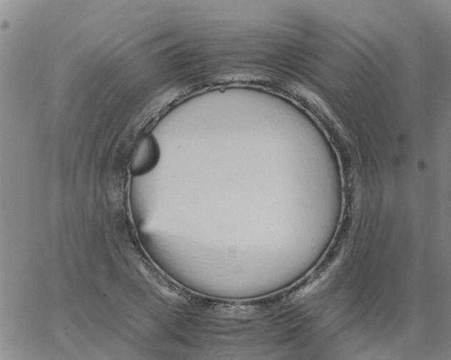 X0000066080833200603311933