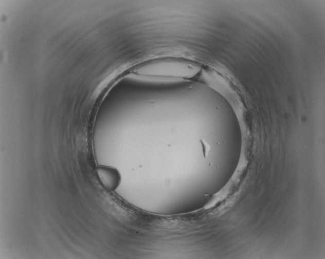 X0000066080834200603311933