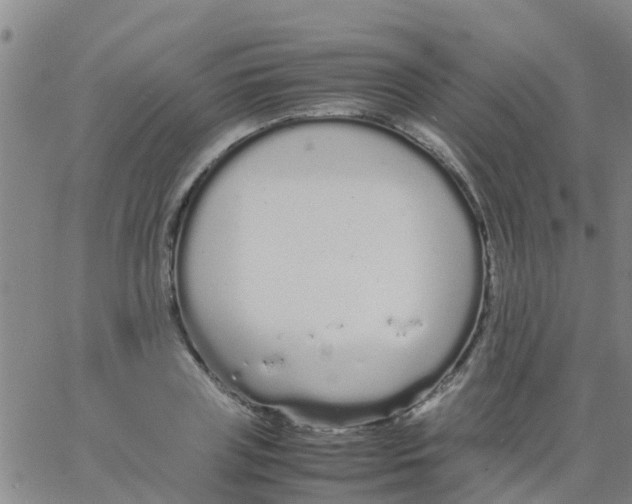 X0000066080835200603311933