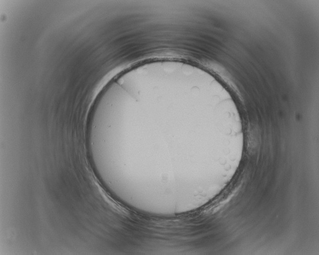 X0000066080837200603311933