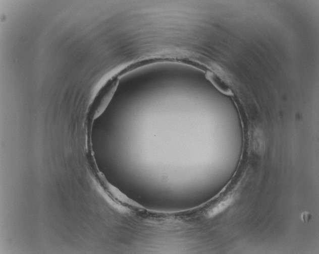 X0000066080838200603311933