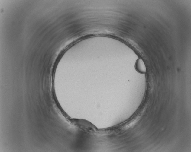 X0000066080840200603311933