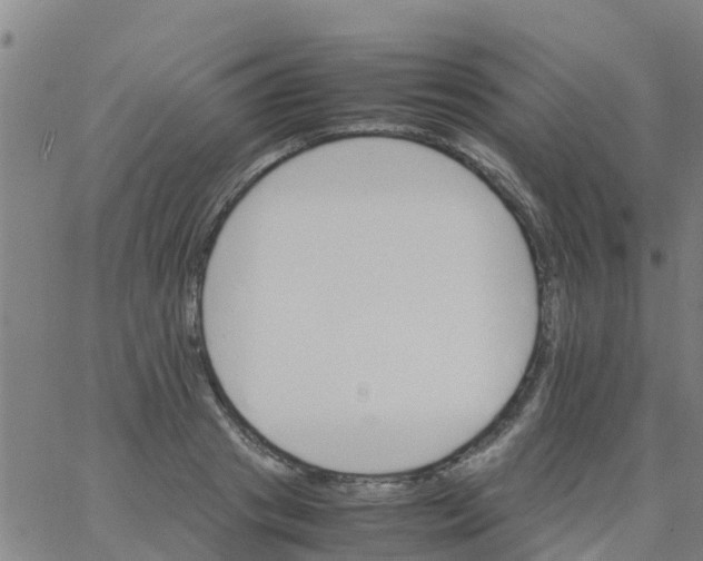 X0000066080841200603311933