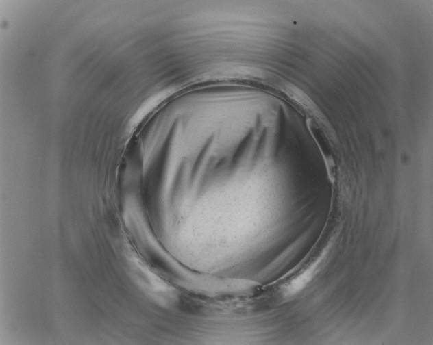 X0000066080842200603311933