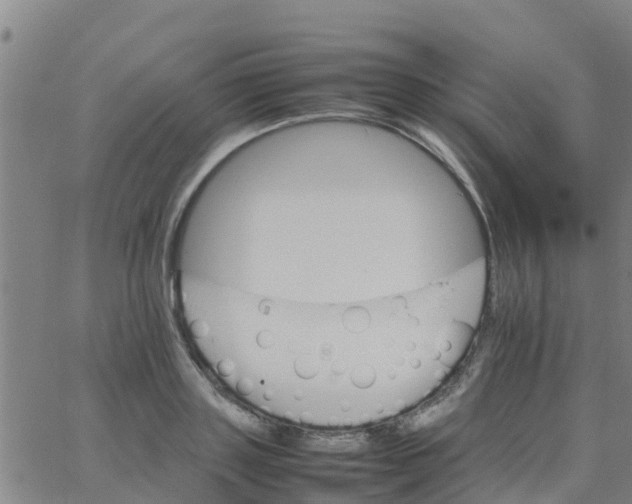 X0000066080843200603311933