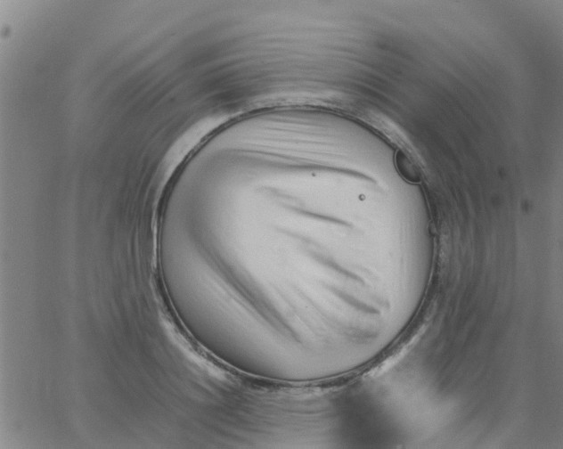 X0000066080844200603311933