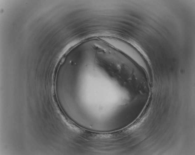 X0000066080845200603311933