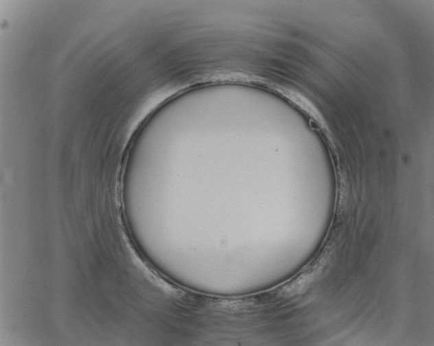 X0000066080847200603311933