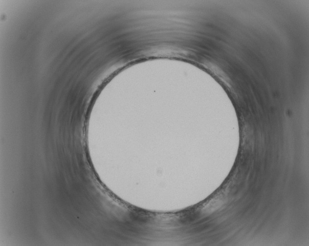 X0000066080848200603311933