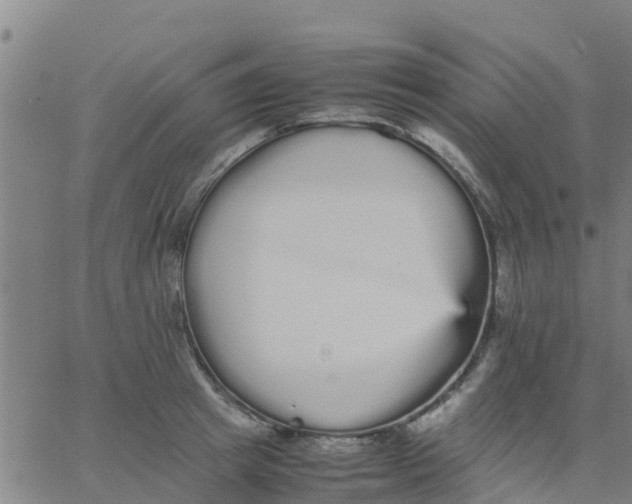 X0000066080849200603311933