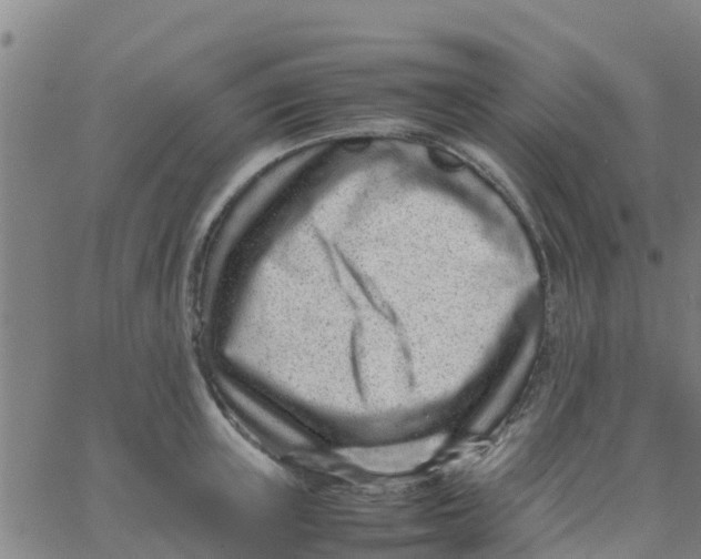 X0000066080851200603311933