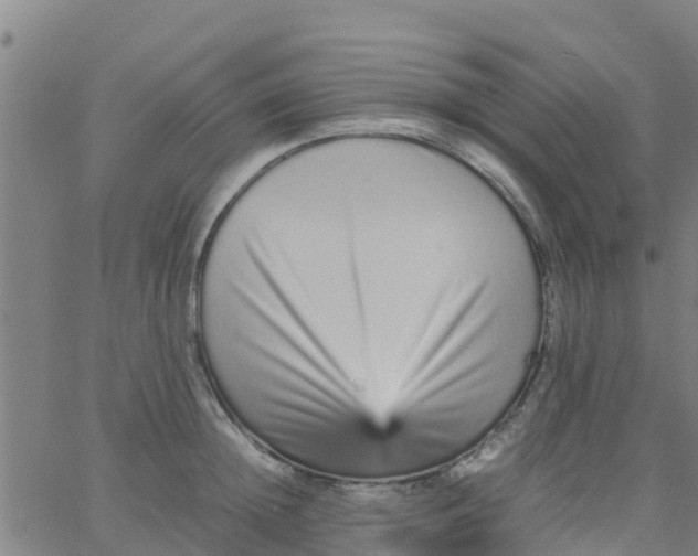 X0000066080852200603311933