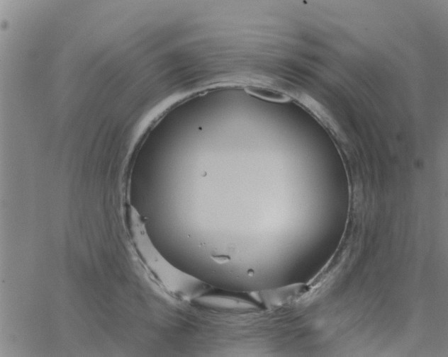 X0000066080854200603311933