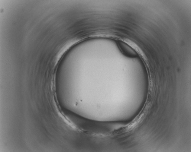 X0000066080855200603311933