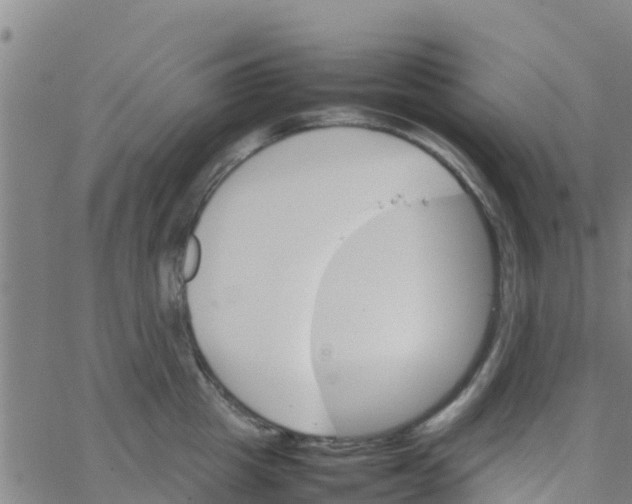 X0000066080857200603311933