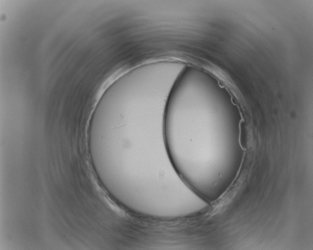 X0000066080858200603311933