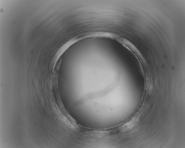 X0000066080860200603311933