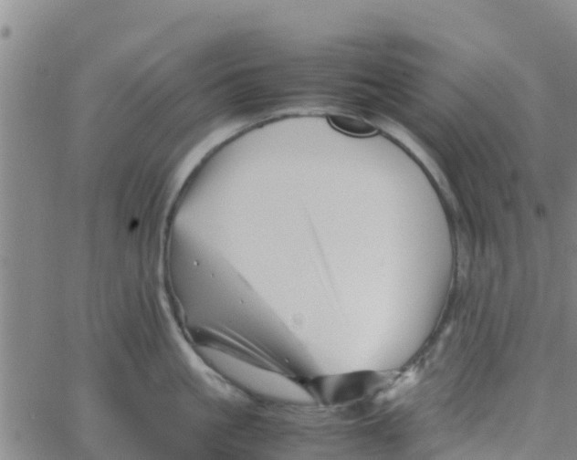 X0000066080861200603311933