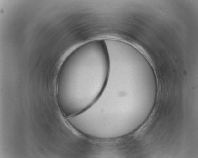 X0000066080862200603311933