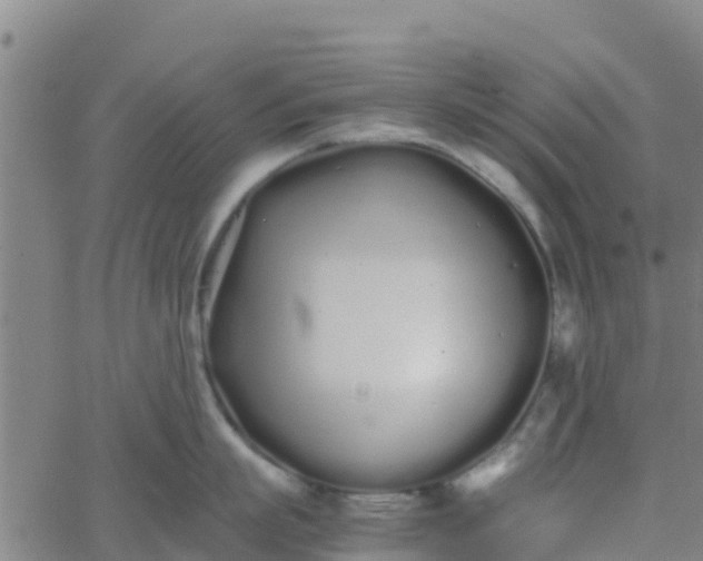 X0000066080863200603311933