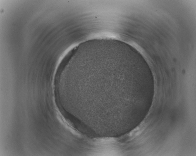 X0000066080864200603311933