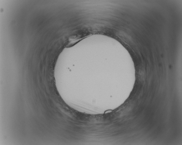 X0000066080865200603311933