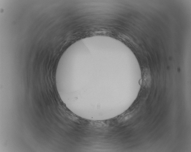 X0000066080866200603311933