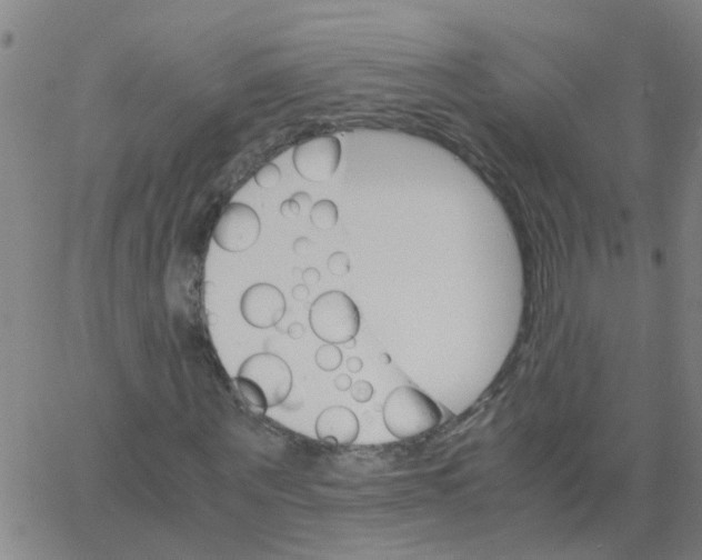 X0000066080867200603311933