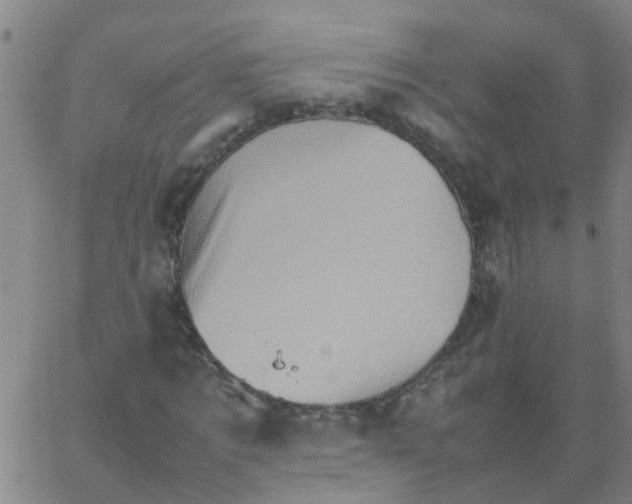 X0000066080869200603311933