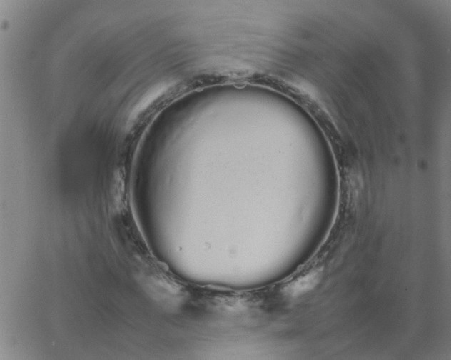 X0000066080871200603311933