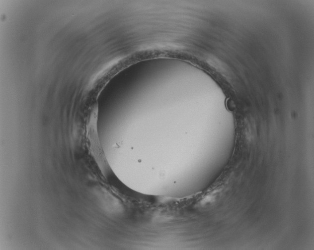 X0000066080872200603311933