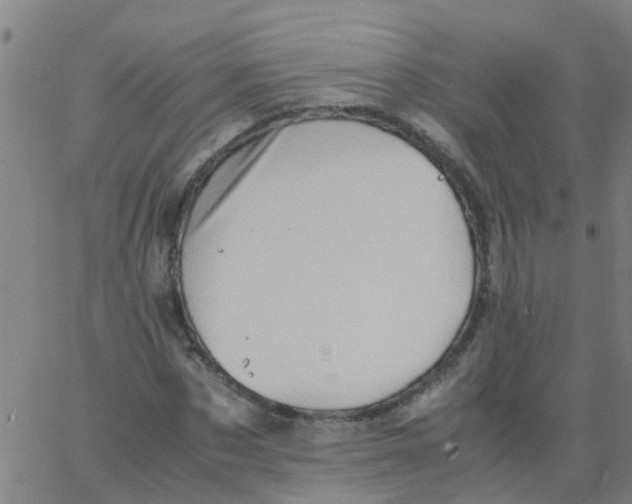 X0000066080873200603311932