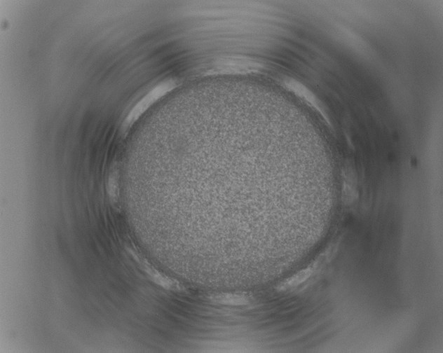 X0000066080874200603311932