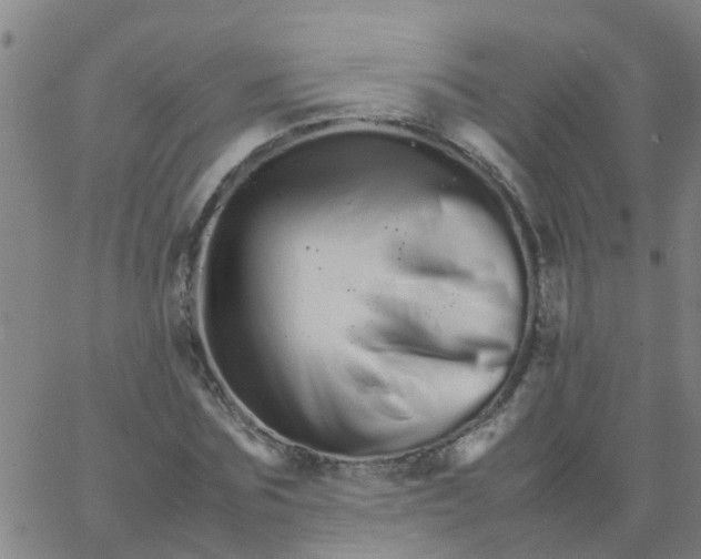 X0000066080875200603311932