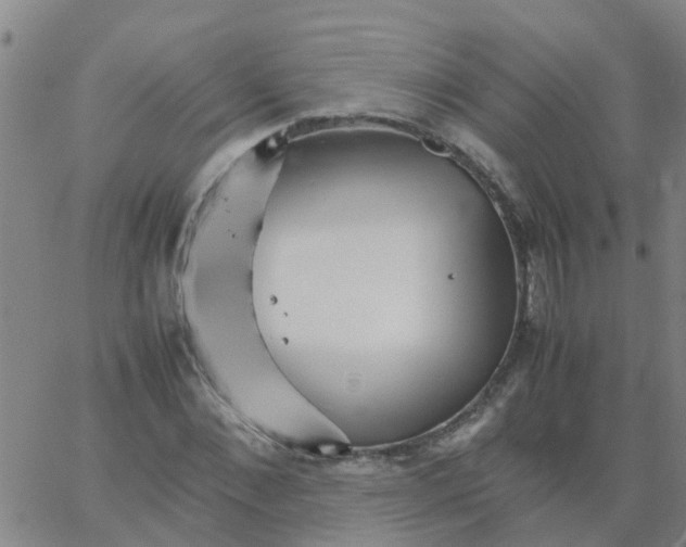 X0000066080876200603311932