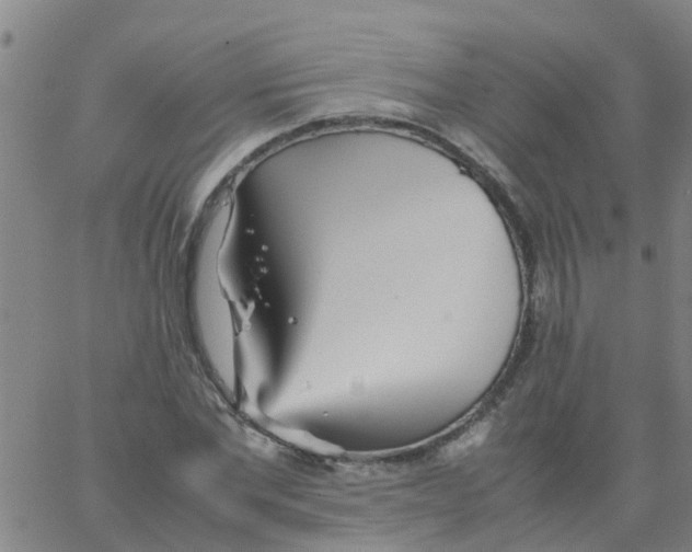 X0000066080877200603311932