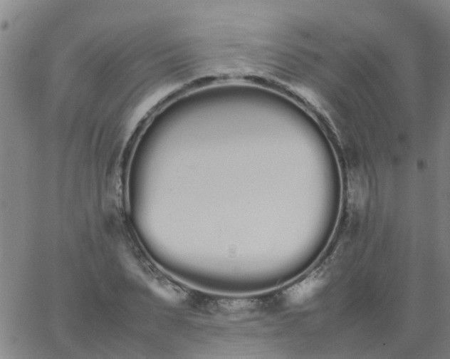 X0000066080879200603311932